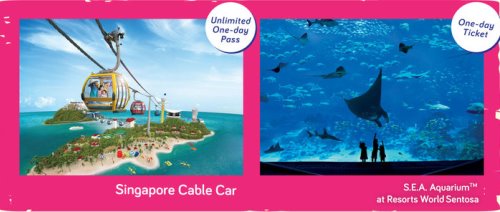 Канатная дорога Singapore Cable Car: CABLE CAR SKY PASS + S.E.A. Aquarium