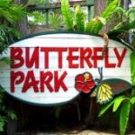 Парк бабочек и Королевство насекомых (Butterfly Park & Insect Kingdom), Сингапур, остров Сентоза