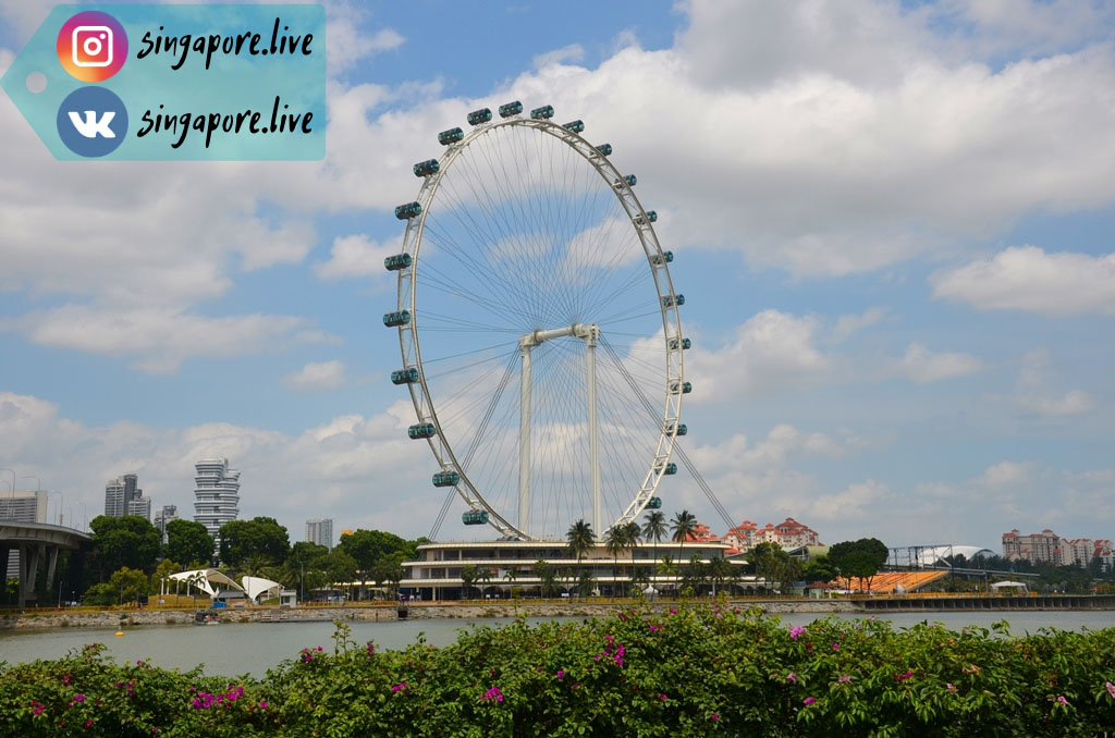 Сингапурское колесо обозрения (Singapore Flyer)
