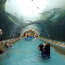 Аквапарк «Бухта приключений» (Adventure Cove Waterpark), Сингапур, остров Сентоза