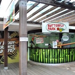 Парк бабочек и Королевство насекомых (Butterfly Park & Insect Kingdom), Сингапур, остров Сентоза