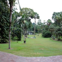 Ботанические Сады Сингапура (Singapore Botanic Gardens)
