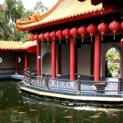Сингапурский Японский и Китайский сады, Музей черепах (Singapore Chinese Garden & Japanese Garden, The Live Turtle And Tortoise Museum)