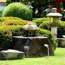 Сингапурский Японский и Китайский сады, Музей черепах (Singapore Chinese Garden & Japanese Garden, The Live Turtle And Tortoise Museum)