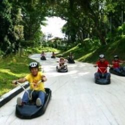 Сани Luge и фуникулёр Skyride (Skyline Sentosa Luge & Skyride)